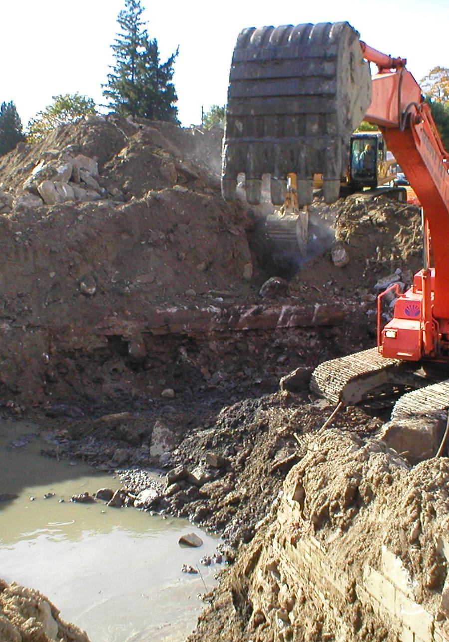 REMEDIATION SERVICES