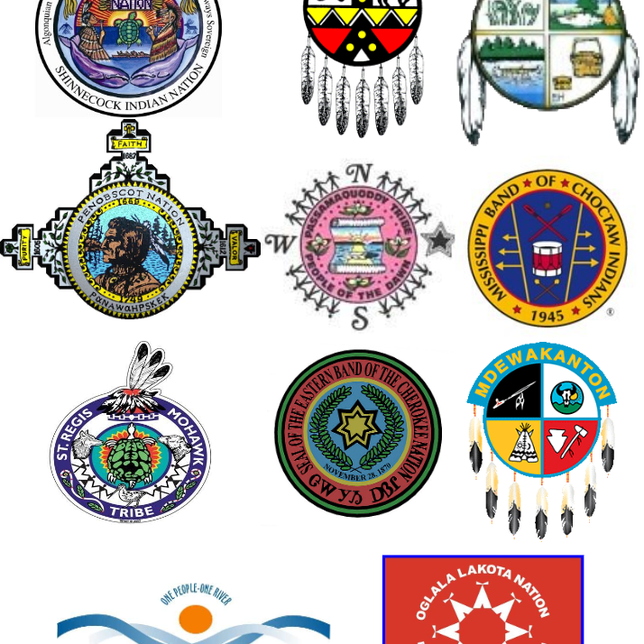 Tribal Services